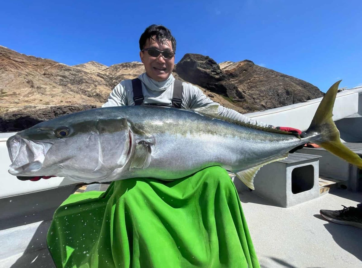 Yellowtail fishing