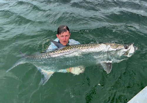 Angler holding Tarpon caught at Skimmer Island in Cabinda Angola