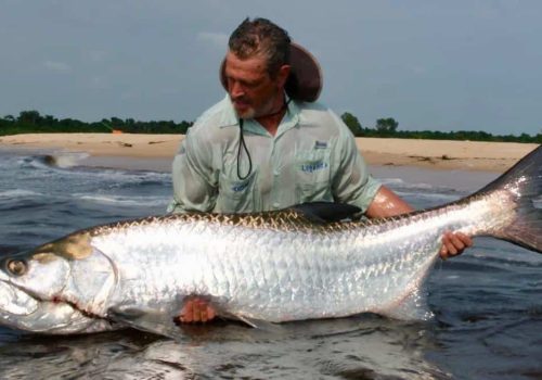 Angler holding Tarpon caught at Skimmer Island in Cabinda Angola