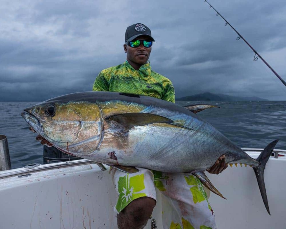 Yellowfin Tuna Darien Lodge