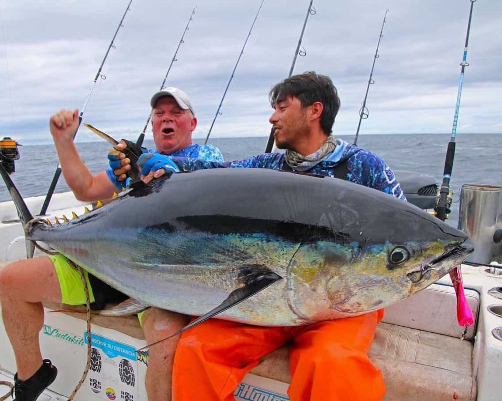Yellowfin Tuna Darien Lodge