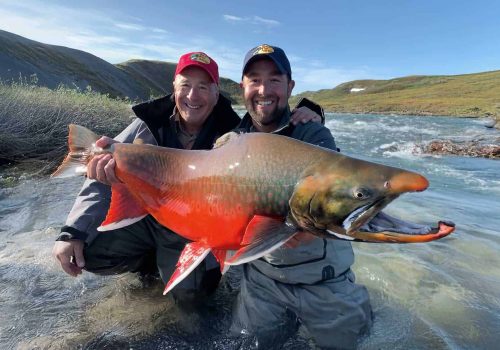 Arctic char with red spawning colours
