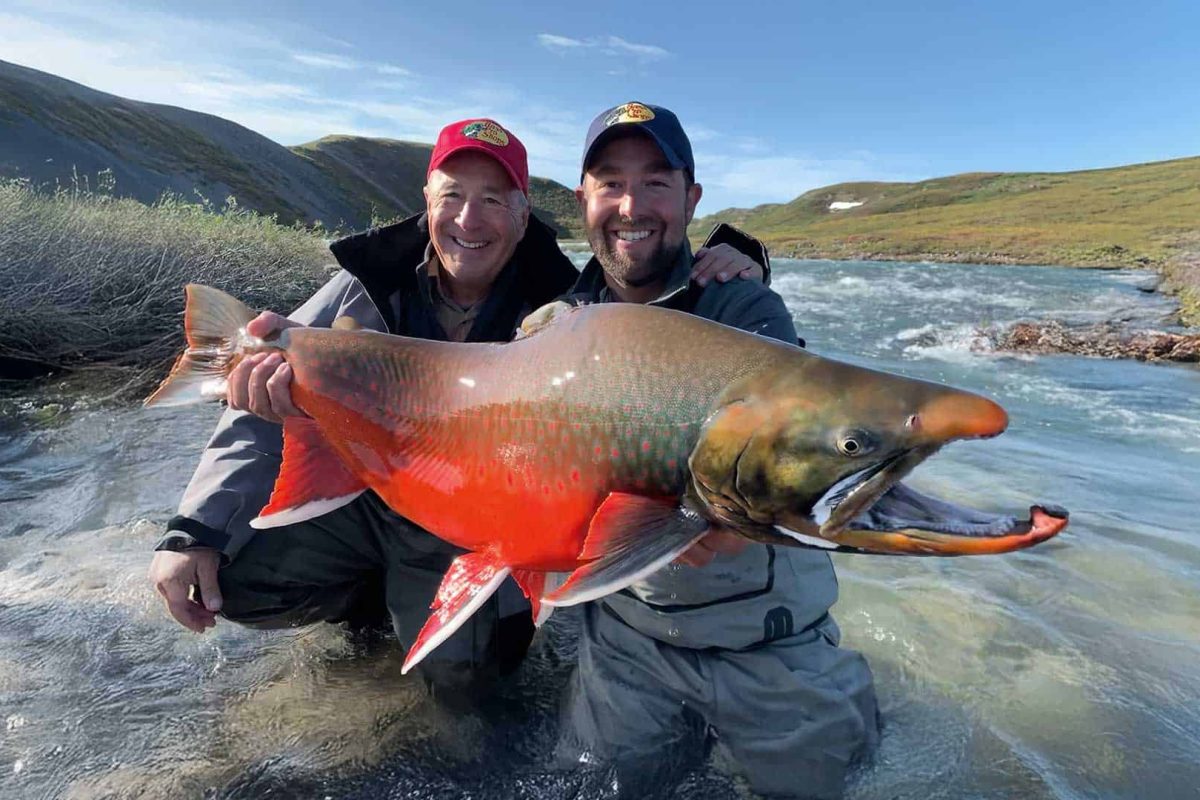 Arctic char with red spawning colours