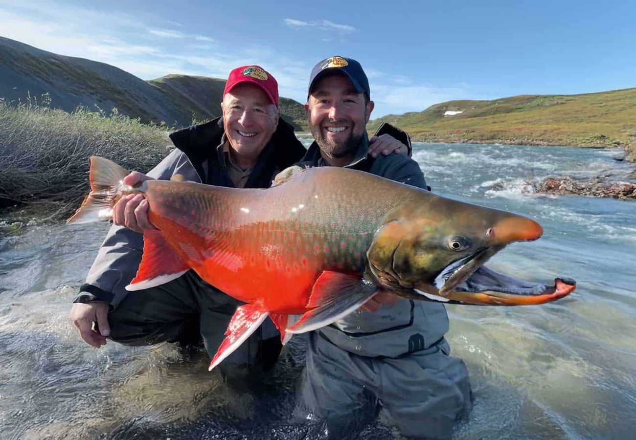 Arctic char with red spawning colours