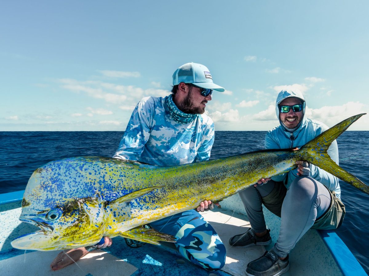 Fly fisherman holding a dorado caught in baja mexico