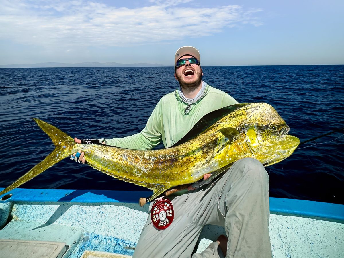 Mahi mahi