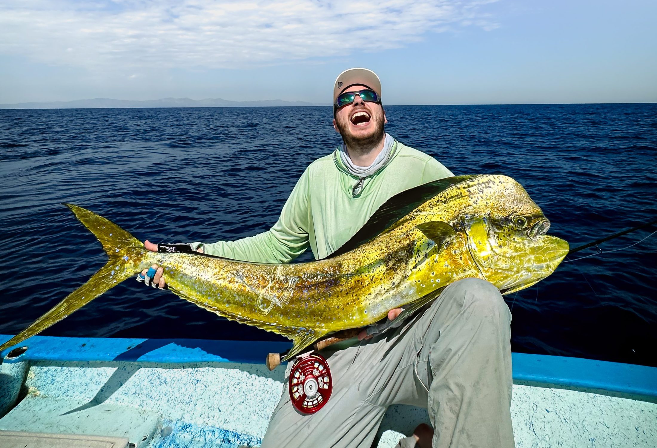 Mahi mahi