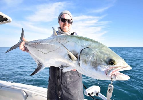 leerfish fishing in ebro delta