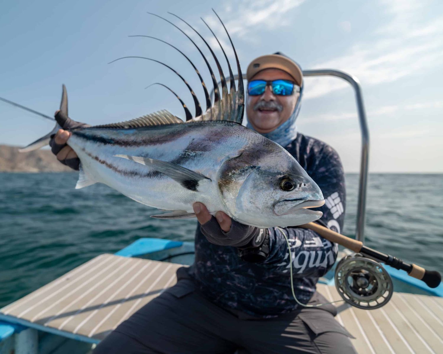 baja roosterfish
