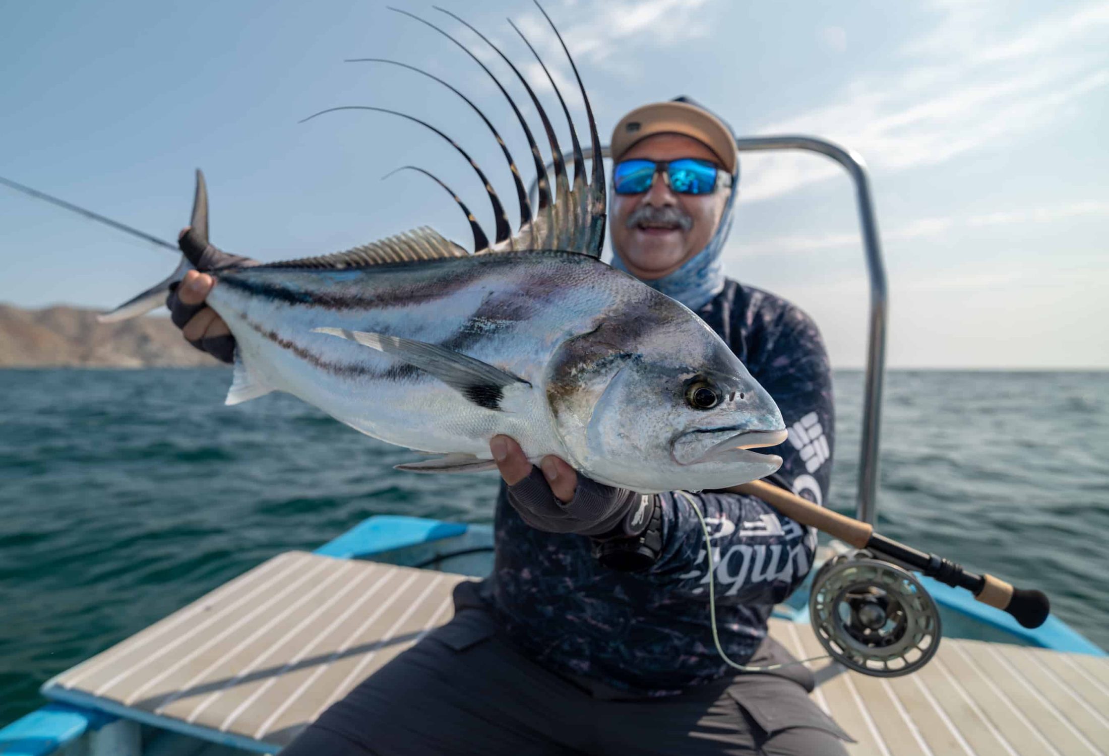 baja roosterfish