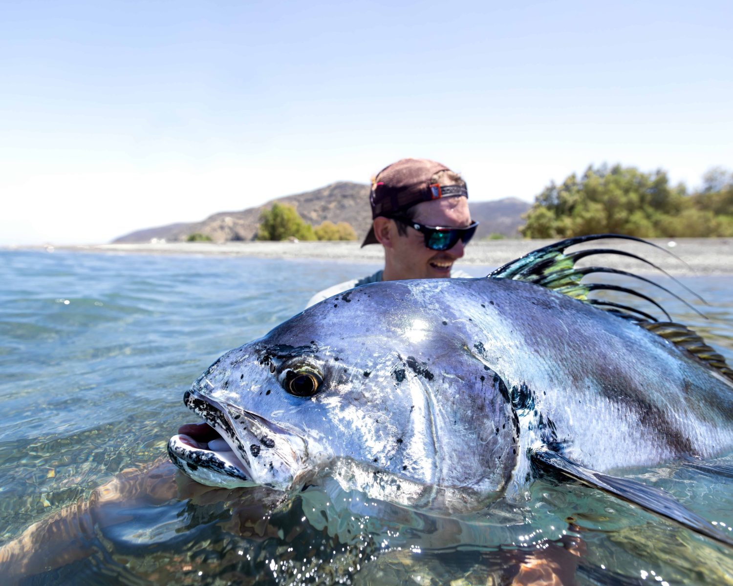 baja roosterfish