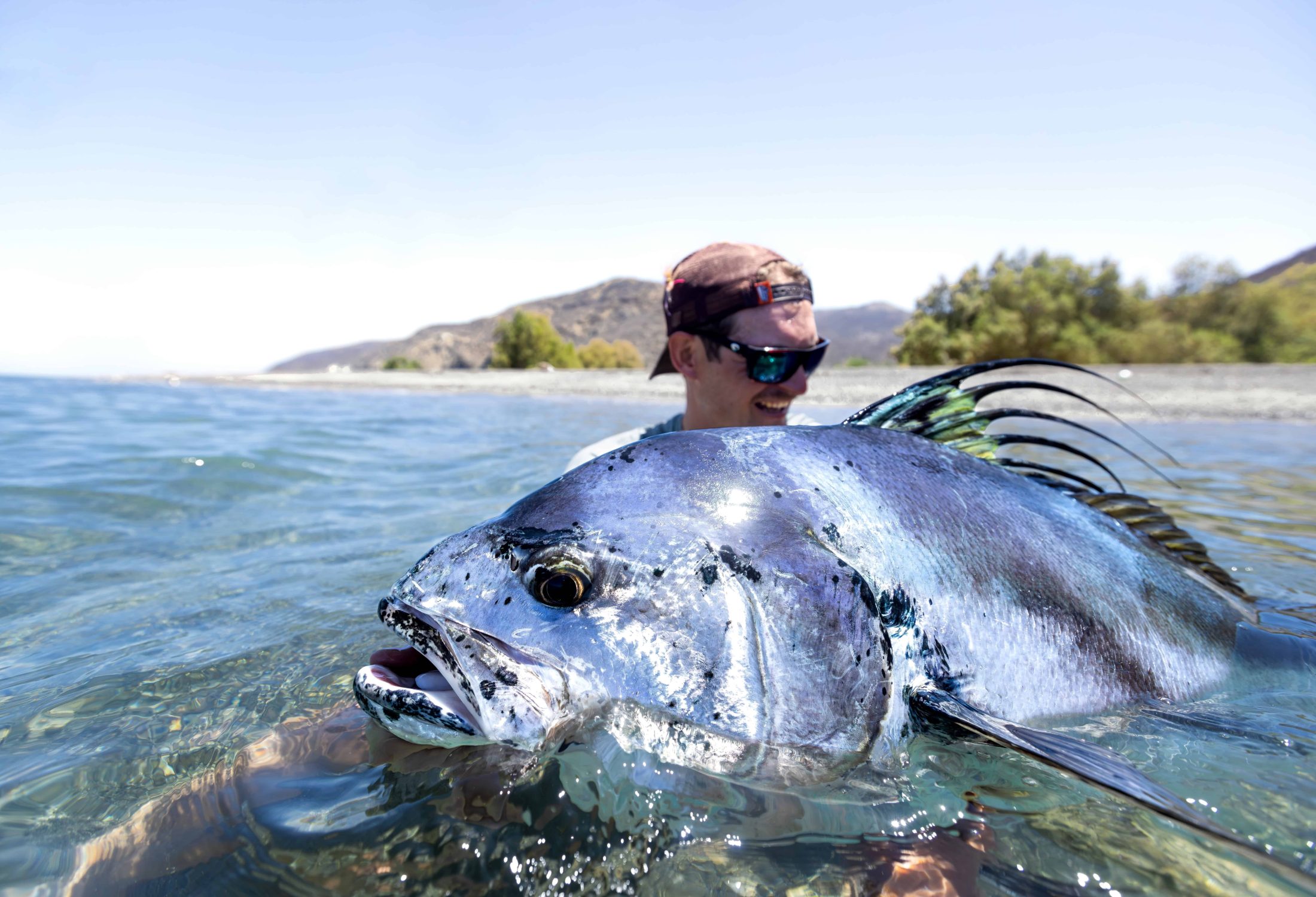 baja roosterfish
