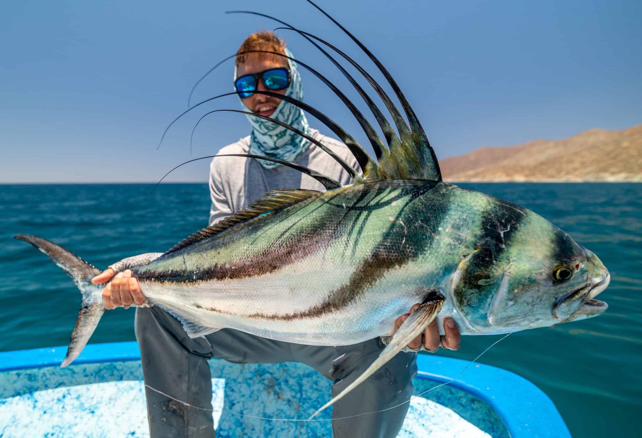 baja roosterfish