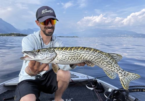 italian pike fishing on lake iseo