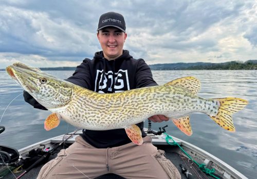 angler holding italian pike on lake garda