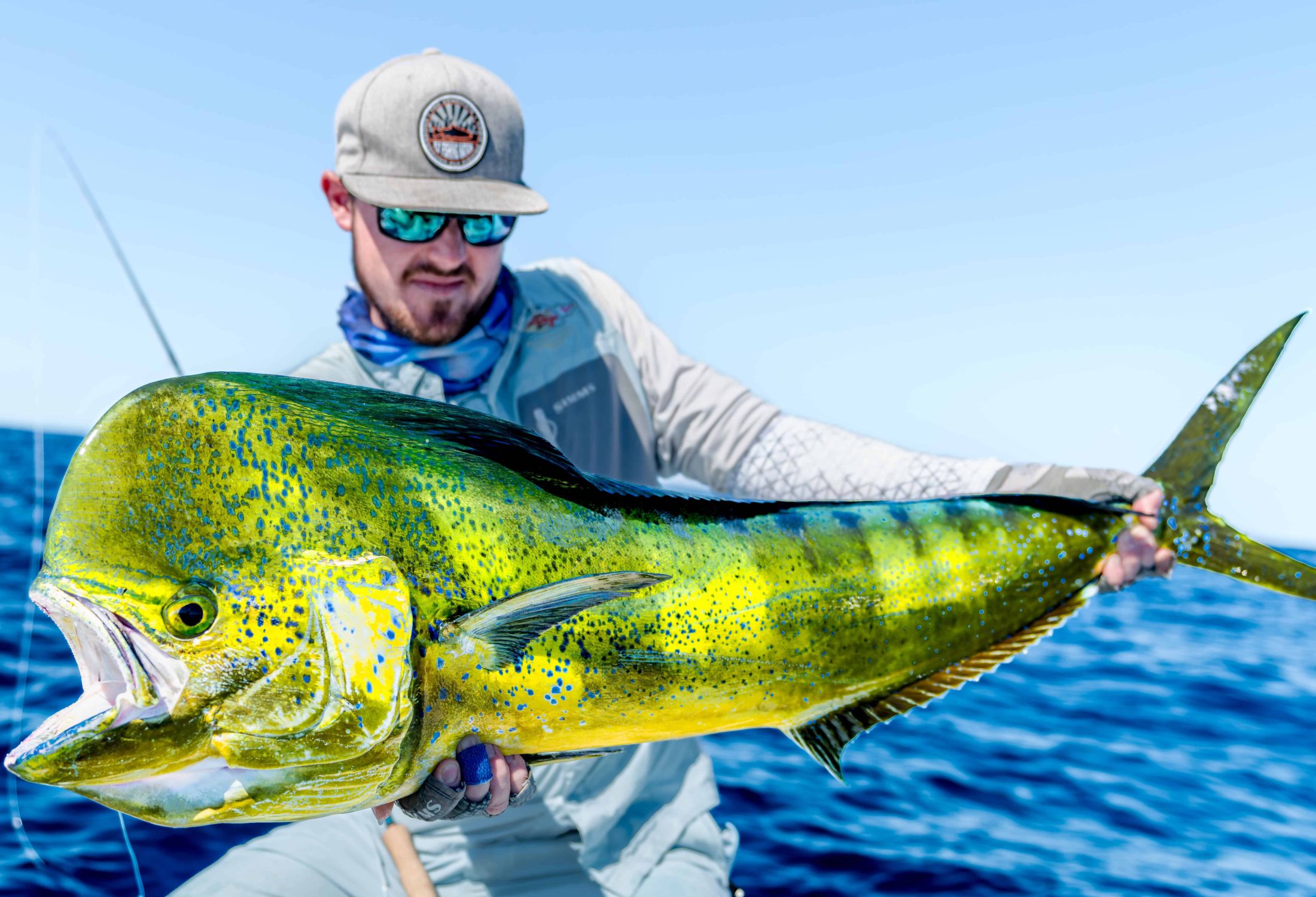 Fly fisherman holding a dorado caught in baja mexico