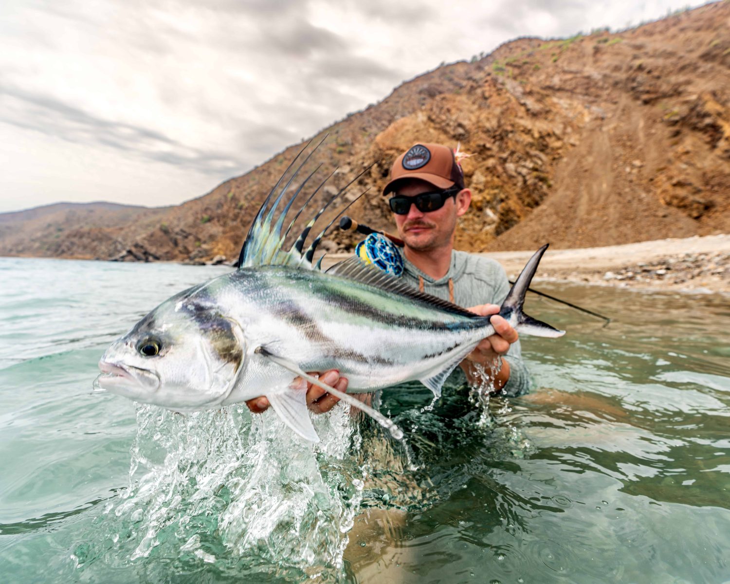 Fly fisherman holding a roosterfish in baja mexico