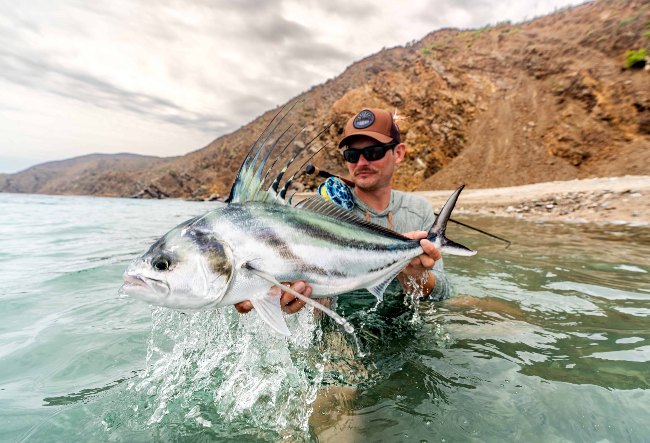 Fly fisherman holding a roosterfish in baja mexico