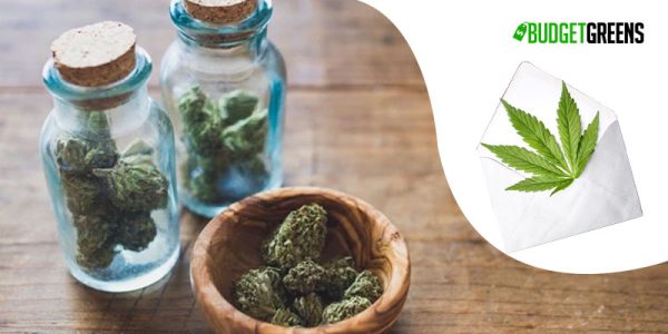 weed online in Montreal