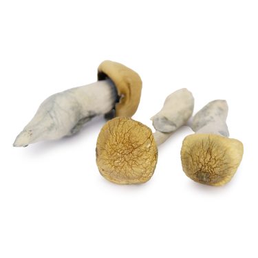 Tidal Wave copy 1.jpg