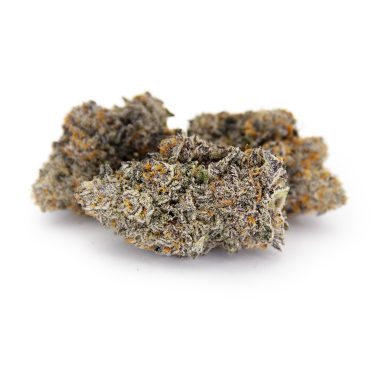 Bubblegum Marker AAAA