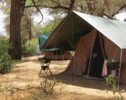 Zeltcamp Safari Kenia und Tansania