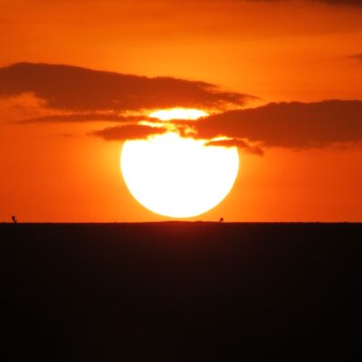 außergewöhnliche Kenia Safaris im Überblick