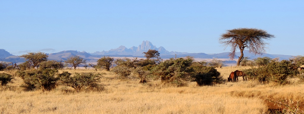 Mount Kenia von Lewa Conservancy