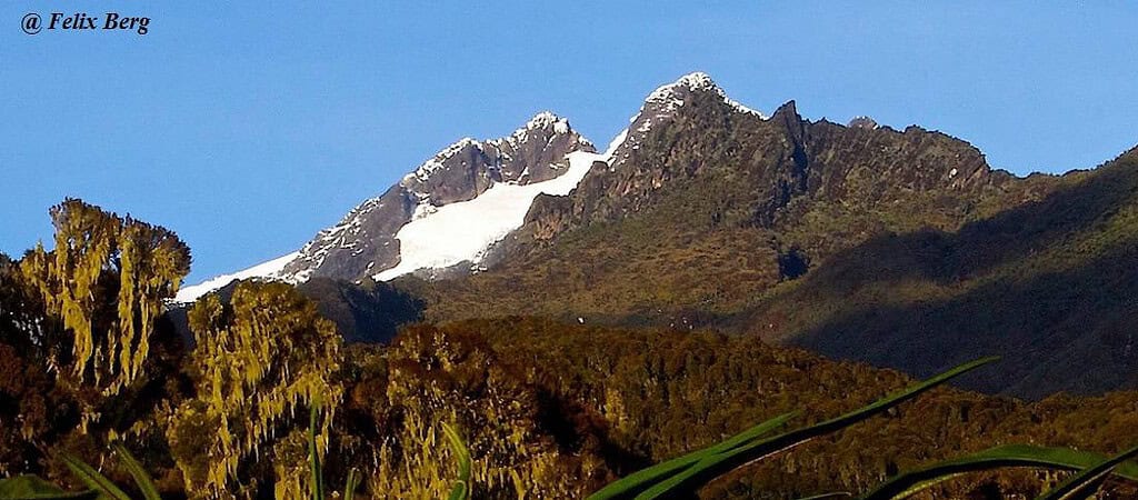 Ruwenzori Berge