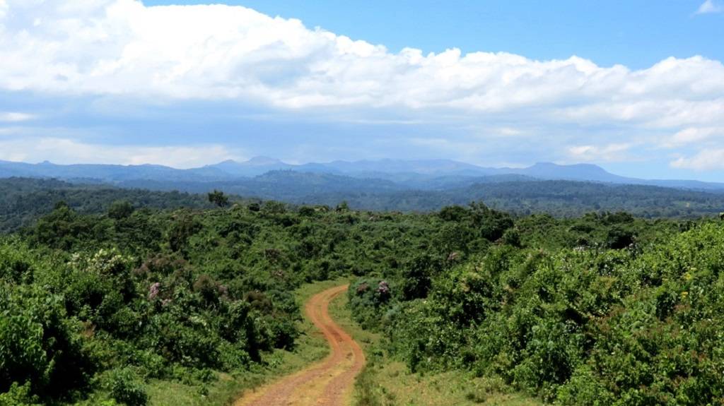 Aberdare National Park