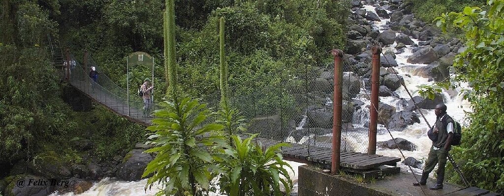 Lets go to Rwenzori Mountains