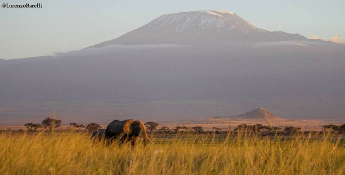 Amboseli Nationalpark