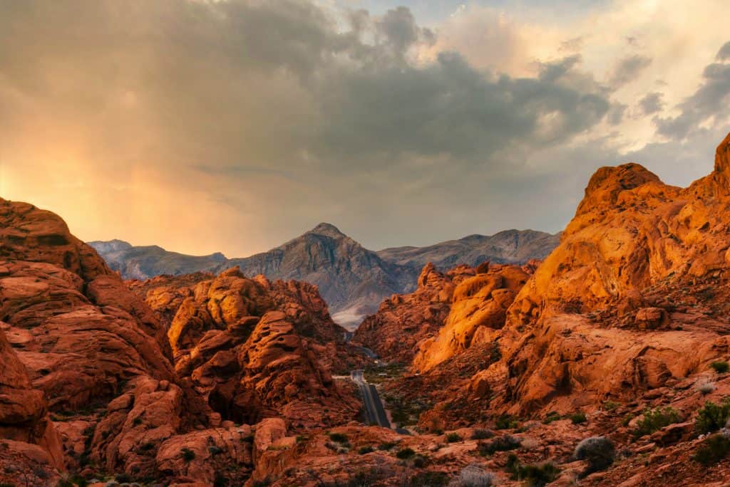 Nevada LLC Benefits