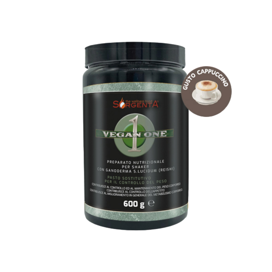 batido sorgenta sabor capuchino comprar