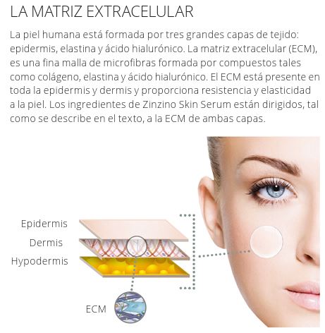 Skin Serum Zinzino 50ml - Imagen 3