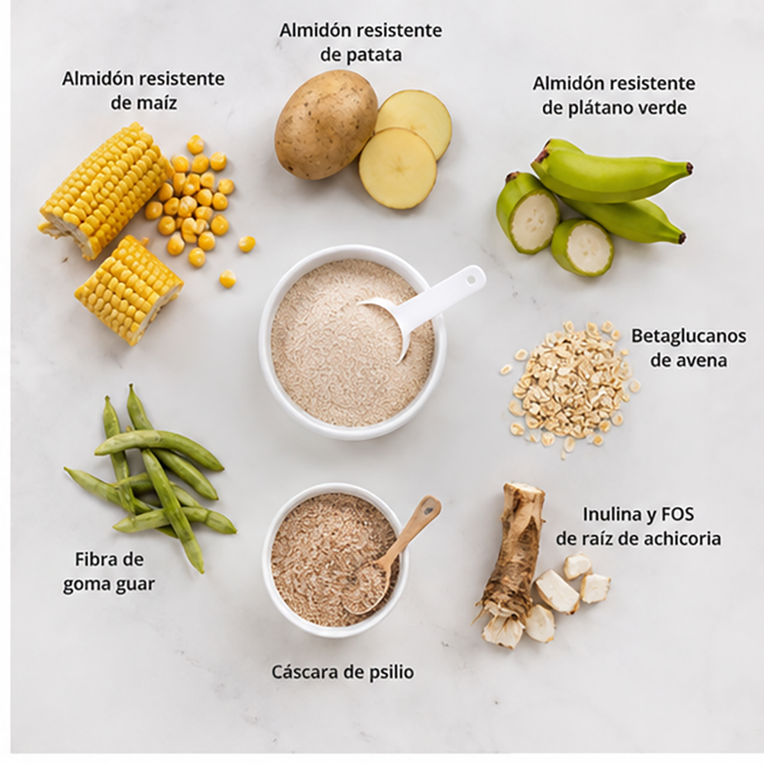 ZinoBiotic+ | 8 fibras con Inulina, Psilio y Betaglucanos - Imagen 3