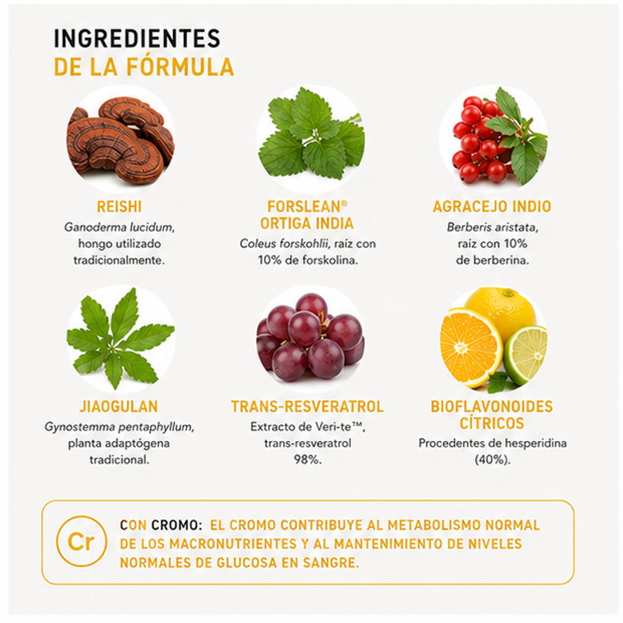 BRN+ IT WORKS! – Cápsulas para apoyar el metabolismo - Imagen 5