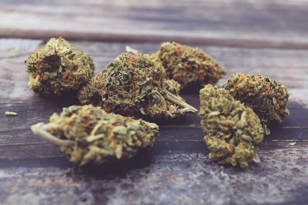 Dried cannabis buds arranged on wooden table