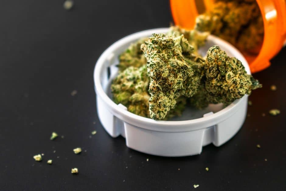 Cannabis buds in a white plastic container