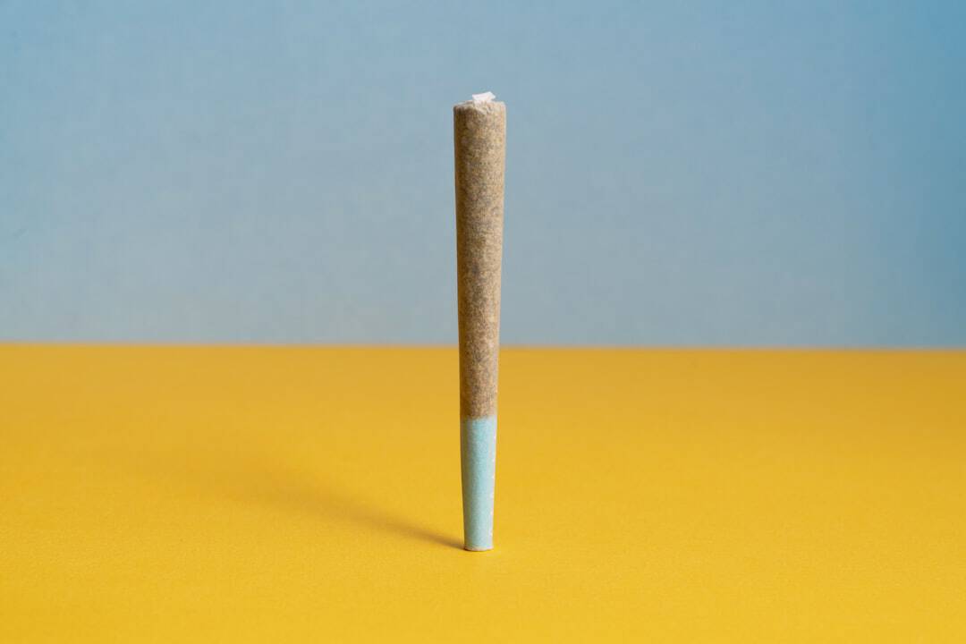 Single pre-rolled joint upright on yellow background