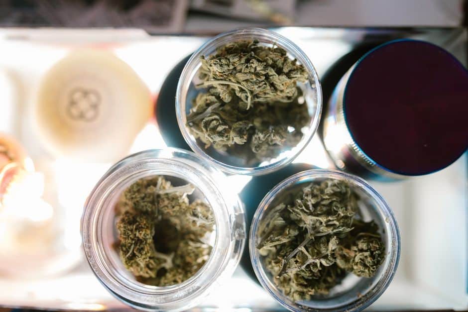 Three jars filled with cannabis buds