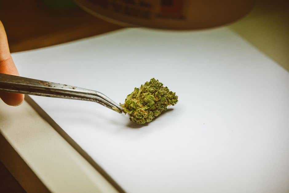 Tongs holding cannabis bud on white paper