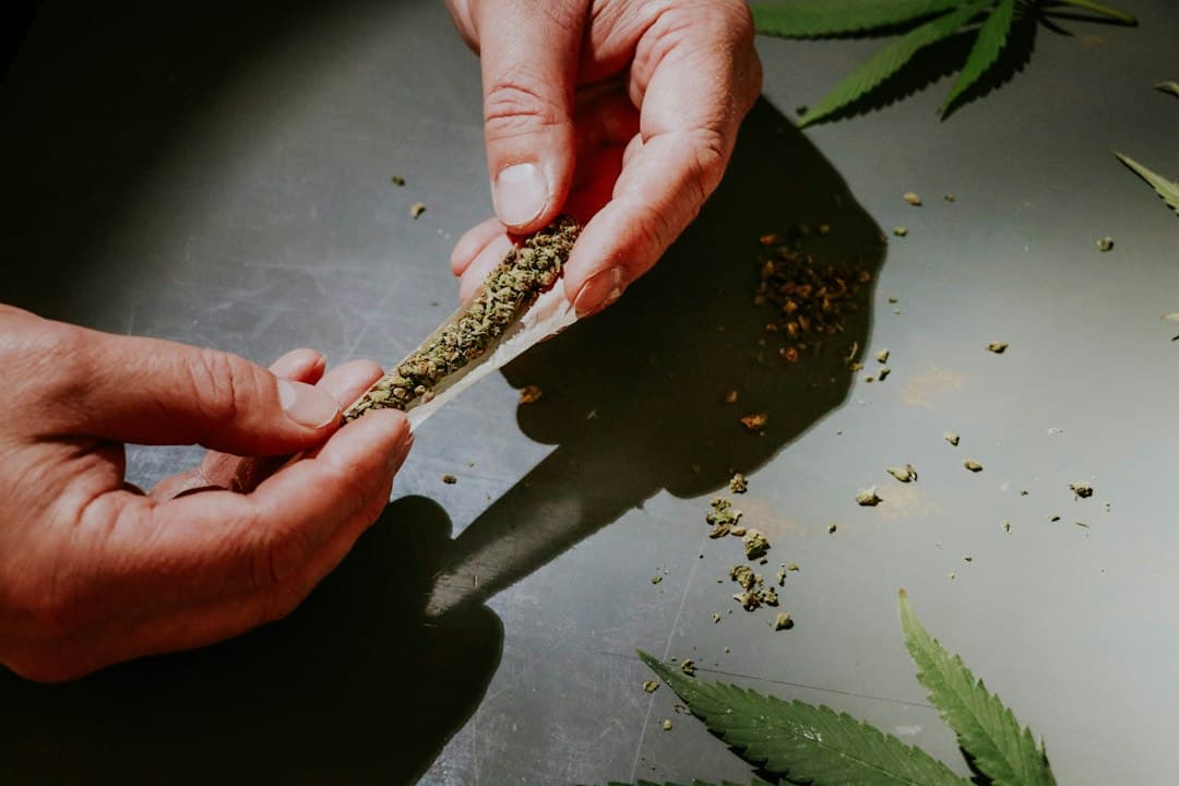 Hands rolling cannabis joint with leaves
