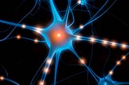 img-neuroprotettivo