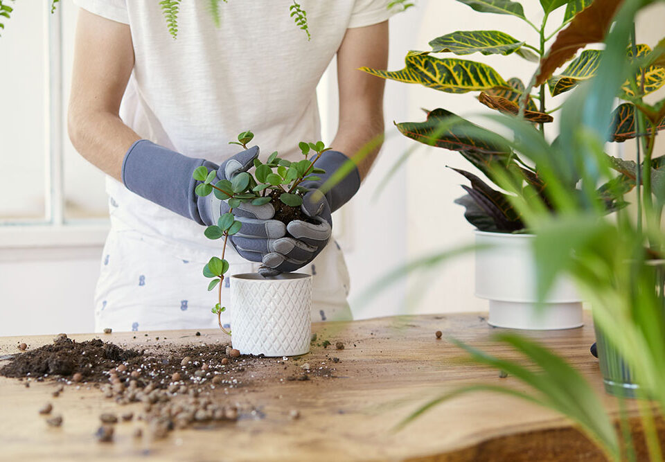 Fertilizzanti Super Soil