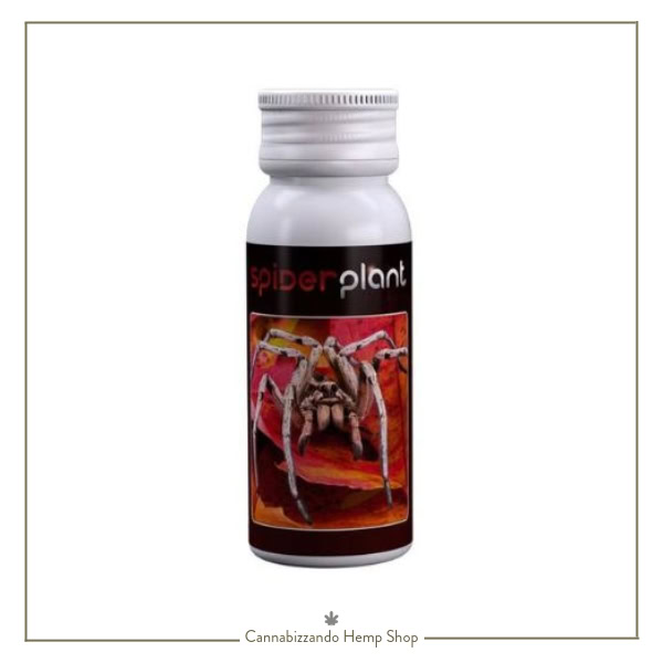 SPIDER PLANT Fungicida Agrobacterias - 15ml