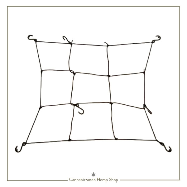 Rete SCROG Mammoth Web 60-100
