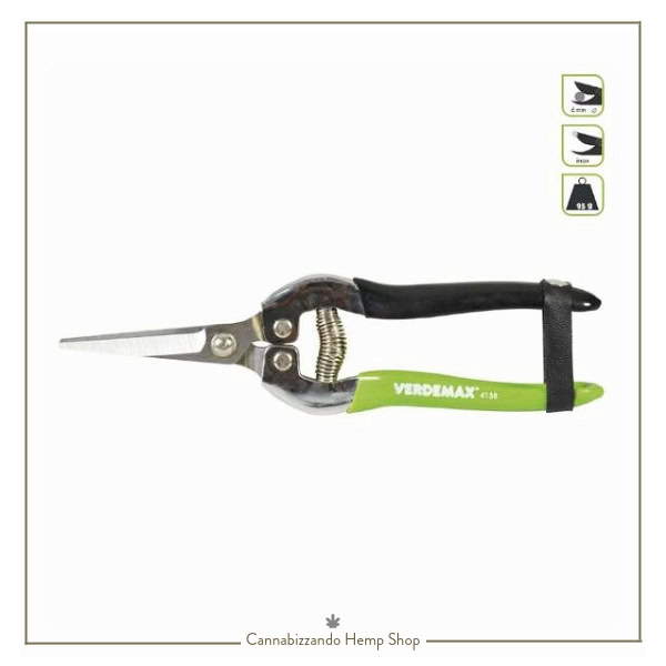 Forbici per Vendemmia Inox