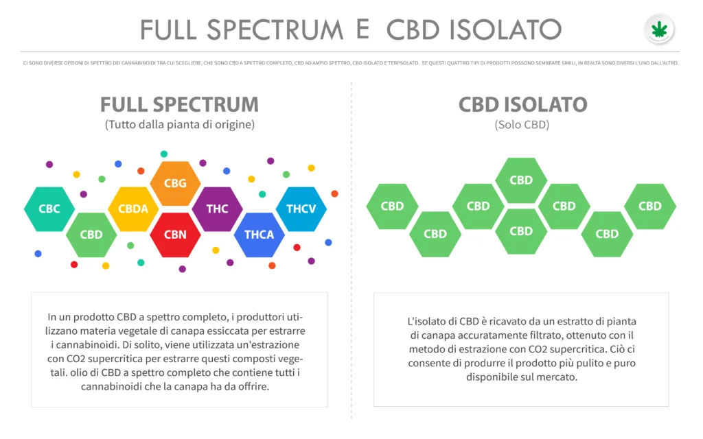La differenza tra olio di CBD full spectrum e broad spectrum, non è sugli effetti benefici. Abbiamo visto che entrambe le tipologie sono in grado di produrre l’effetto entourage. La vera differenza è la presenza o meno di THC.