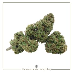 Jack Herer CBD - Infiorescenza di Canapa Legale